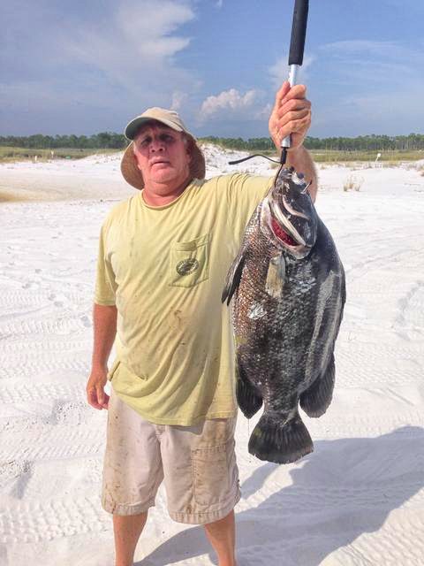Triple Tail caught on Fishstick Charters