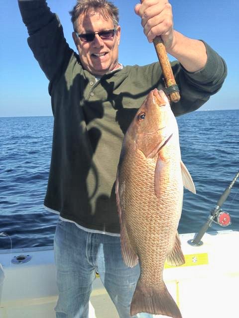 Snapper